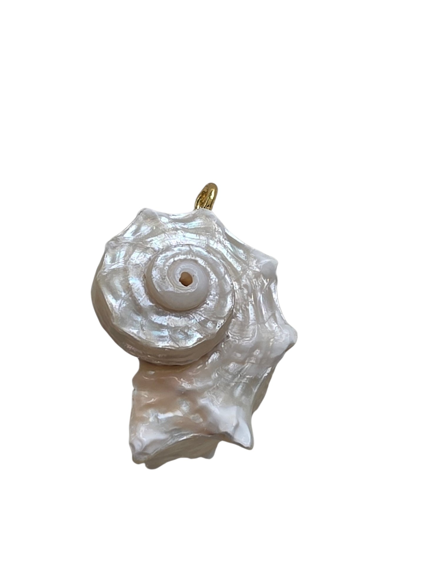 SEA SPIRAL