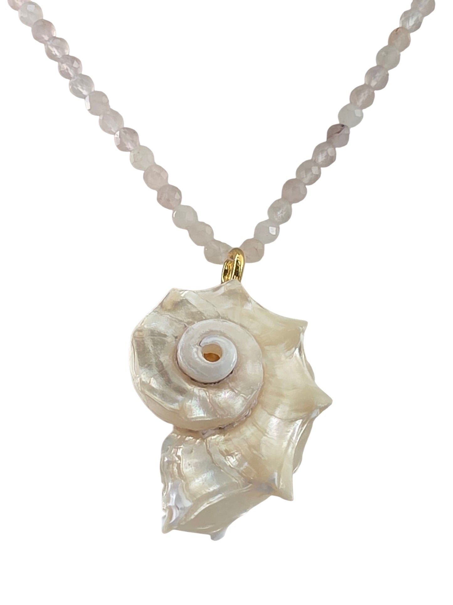 KATALINA SHELL