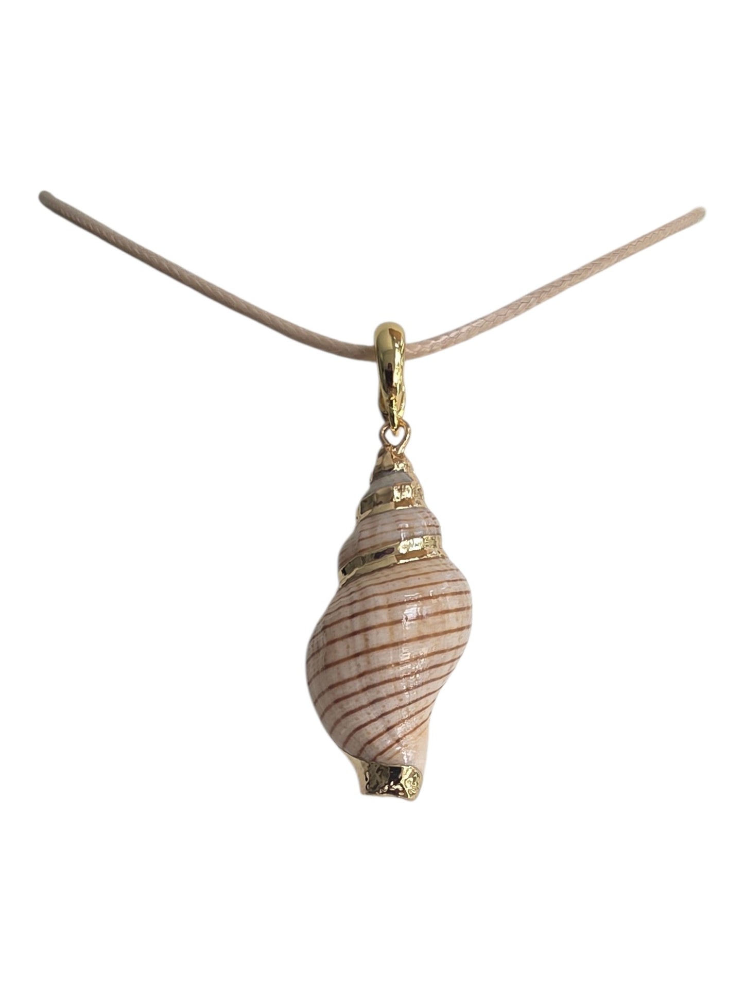 SPIRAL CONCH