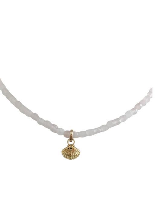 KATALINA SHELL