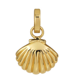 SHELL CHARM