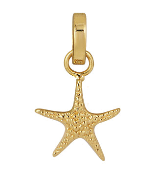 SEA STAR CHARM