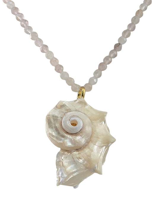 KATALINA SHELL